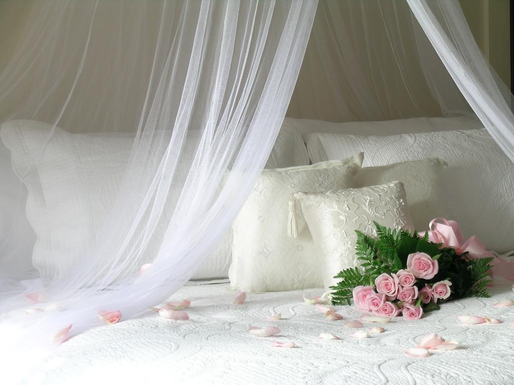 Plantation House Bed & Breakfast Port Hope Camera foto
