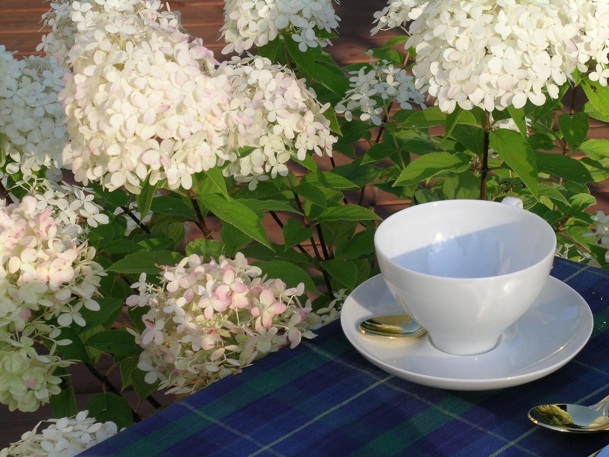 Plantation House Bed & Breakfast Port Hope Esterno foto